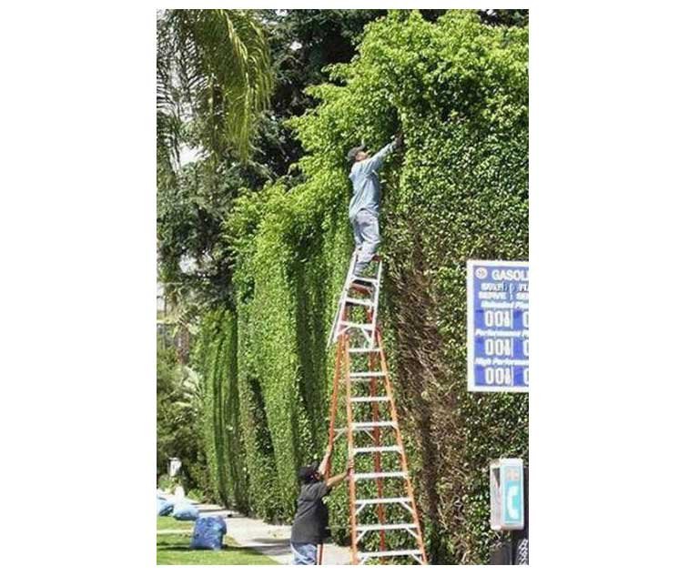 Wrong Usage of Ladder ladderhub-1
